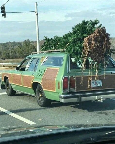 GIF hochgeladen von Simon