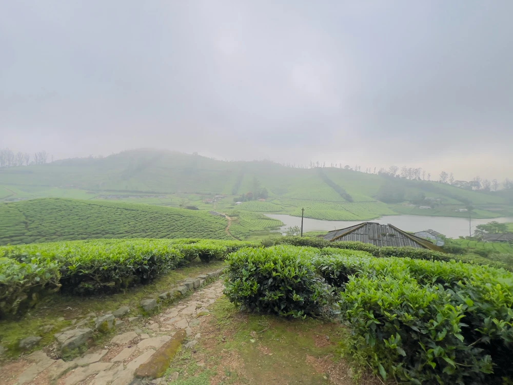 Image uploaded by Santhosh Kumar