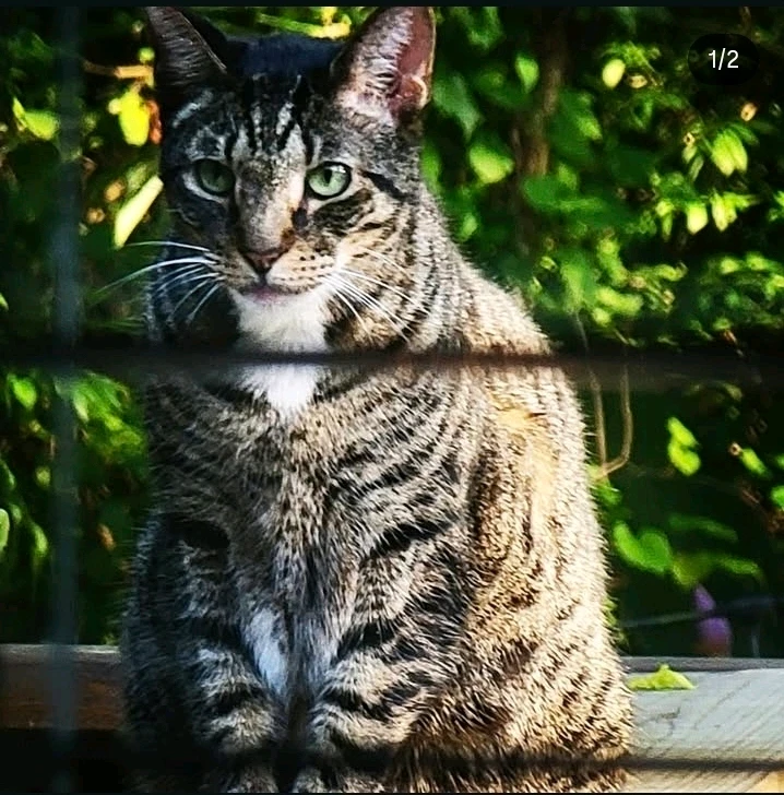 GIF uploaded by Nick