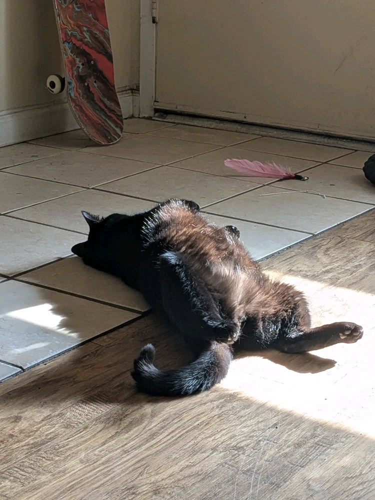 GIF uploaded by Nathan