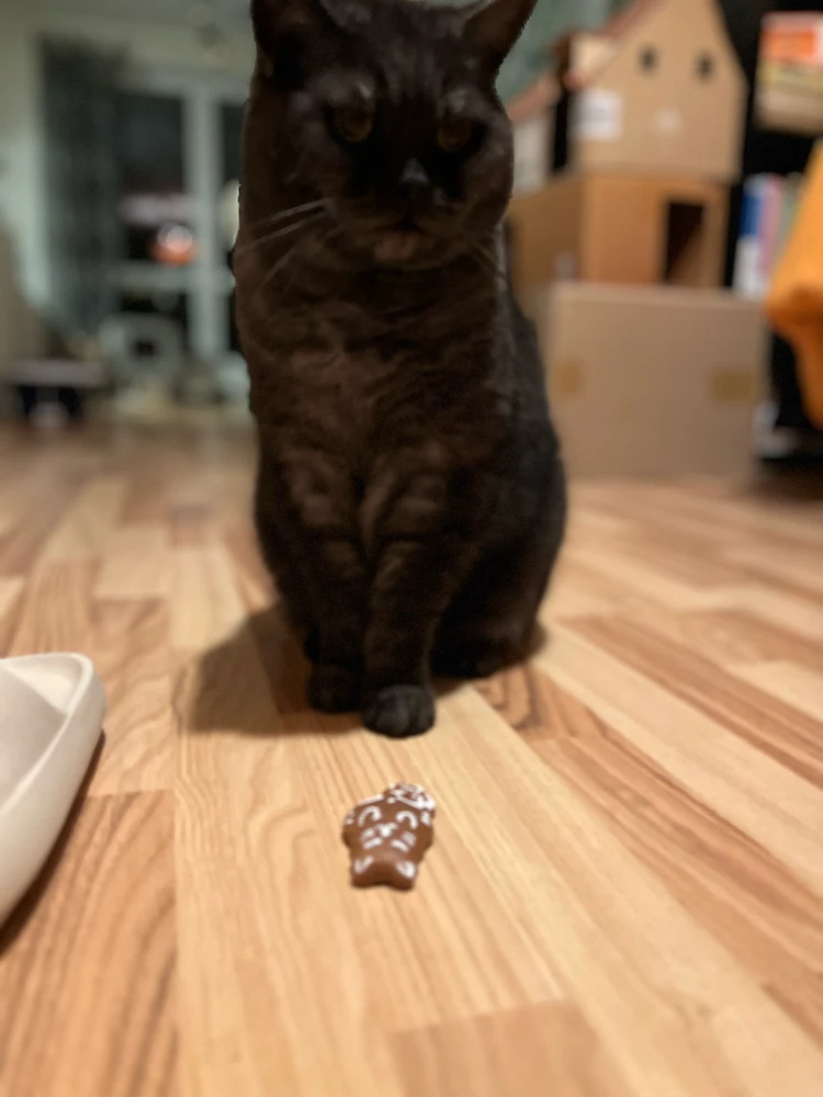 Obrázek nahrál mira