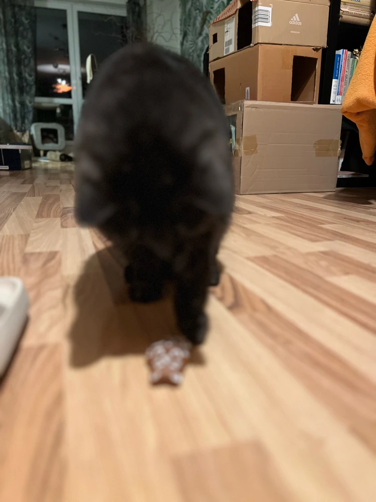 Obrázek nahrál mira