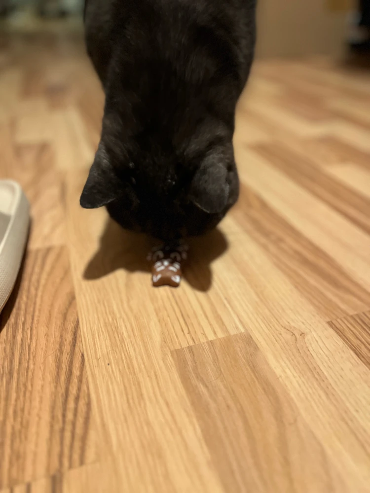 Obrázek nahrál mira