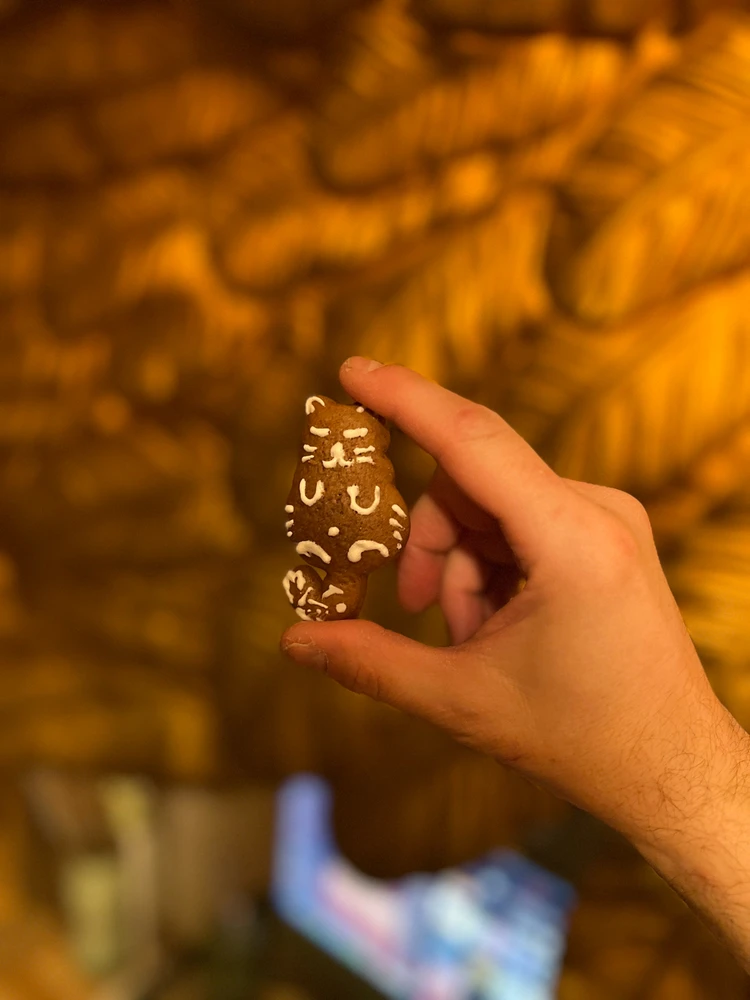 Obrázek nahrál mira