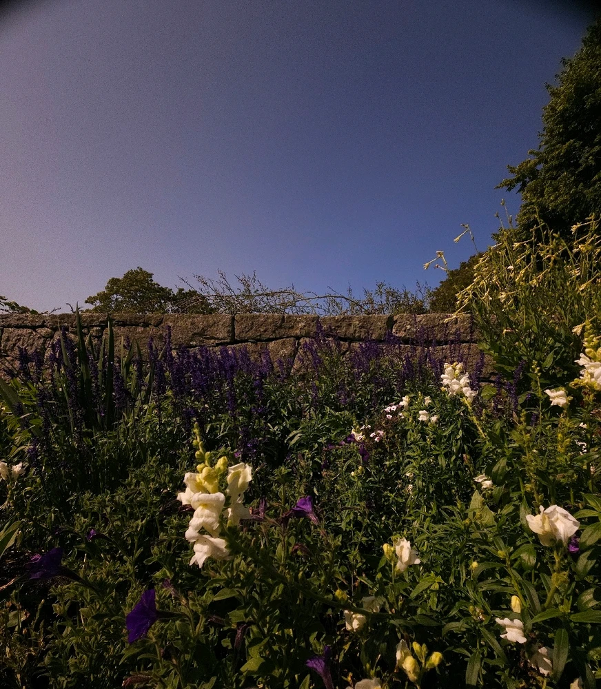 GIF uploaded by Tyler