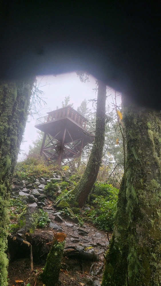 Image uploaded by Robert Wolf
