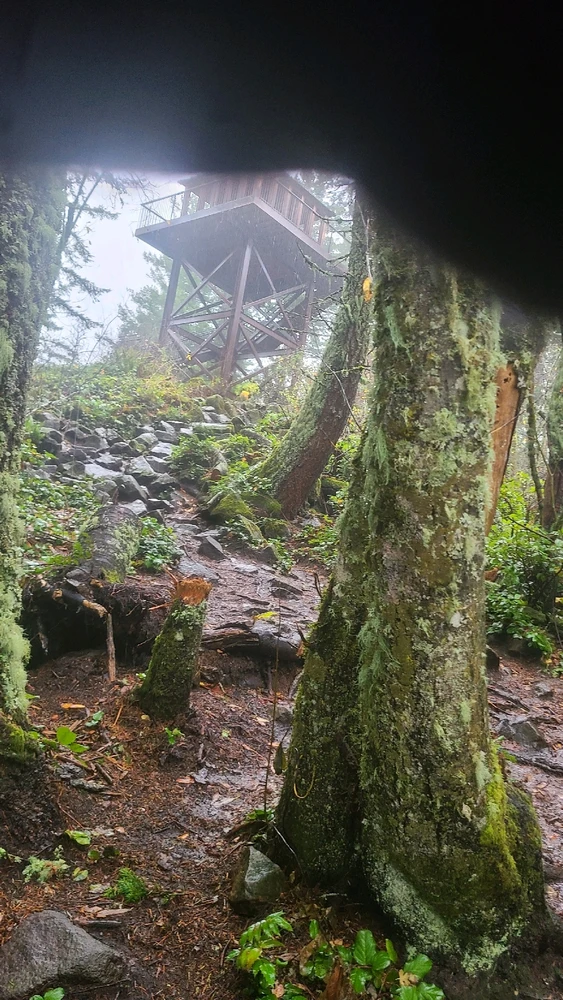 Image uploaded by Robert Wolf