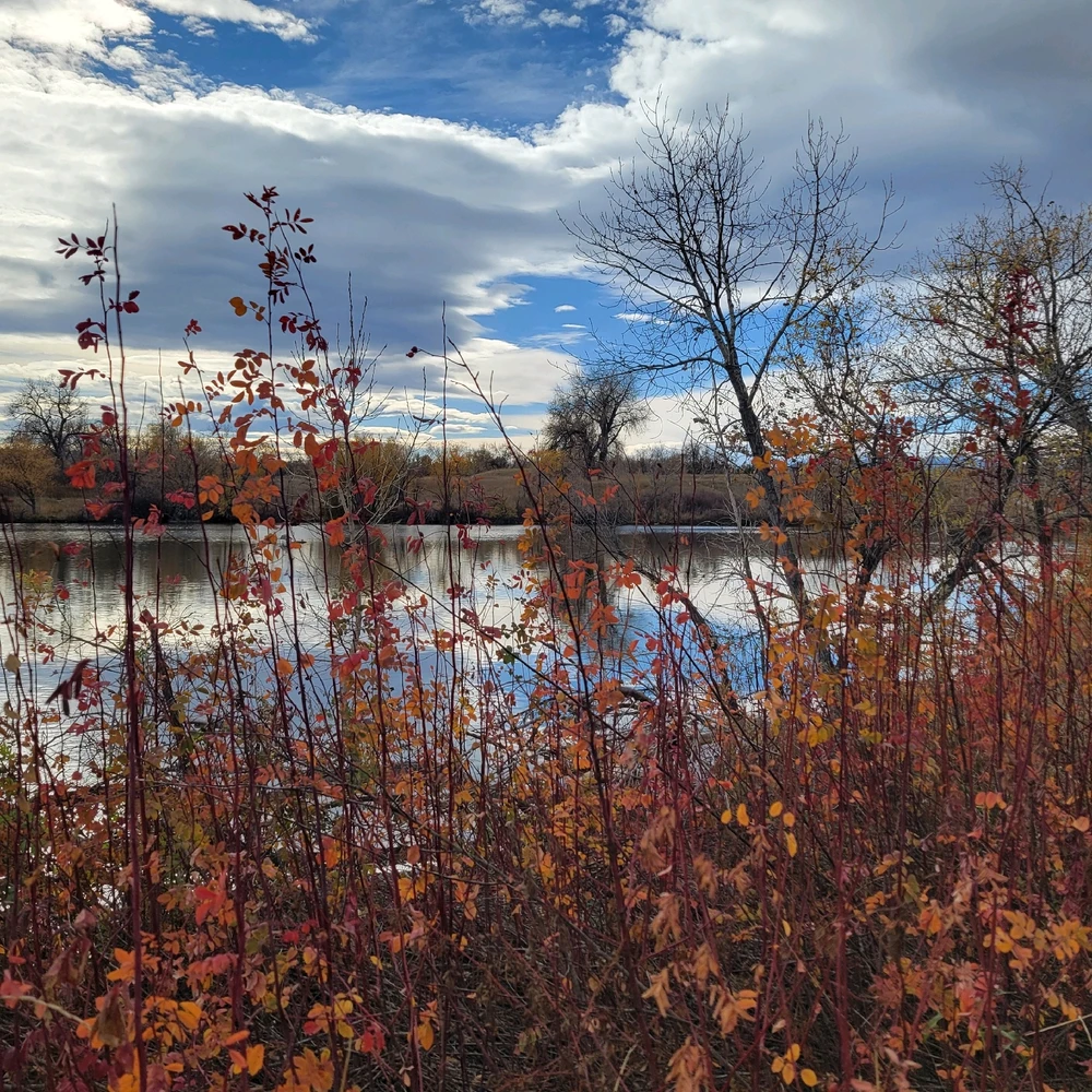 GIF uploaded by Chani