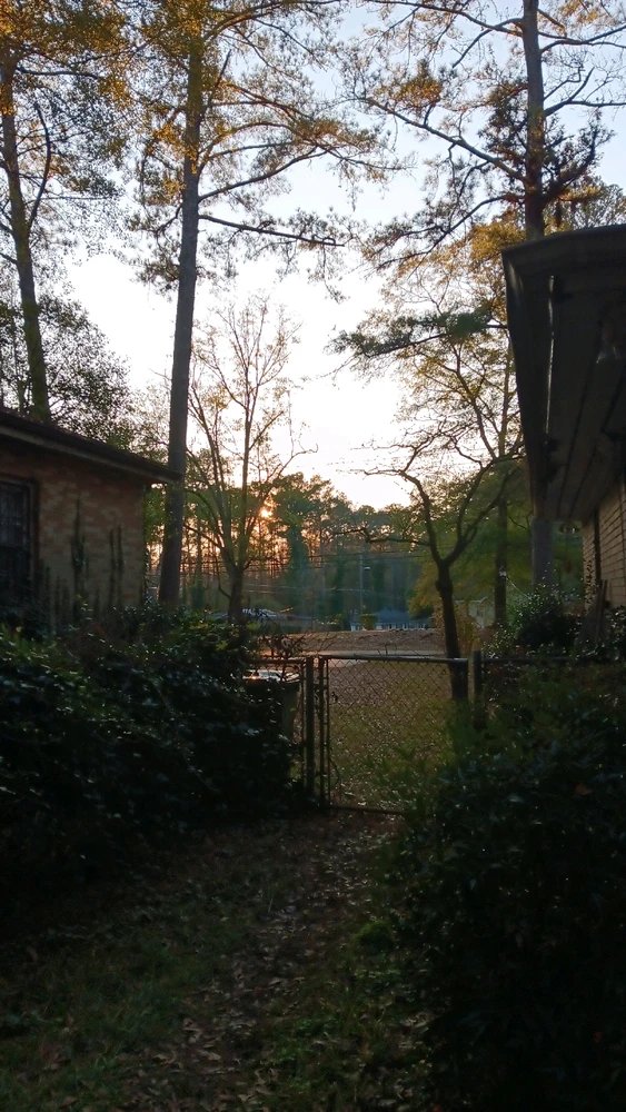 Image uploaded by Carrington