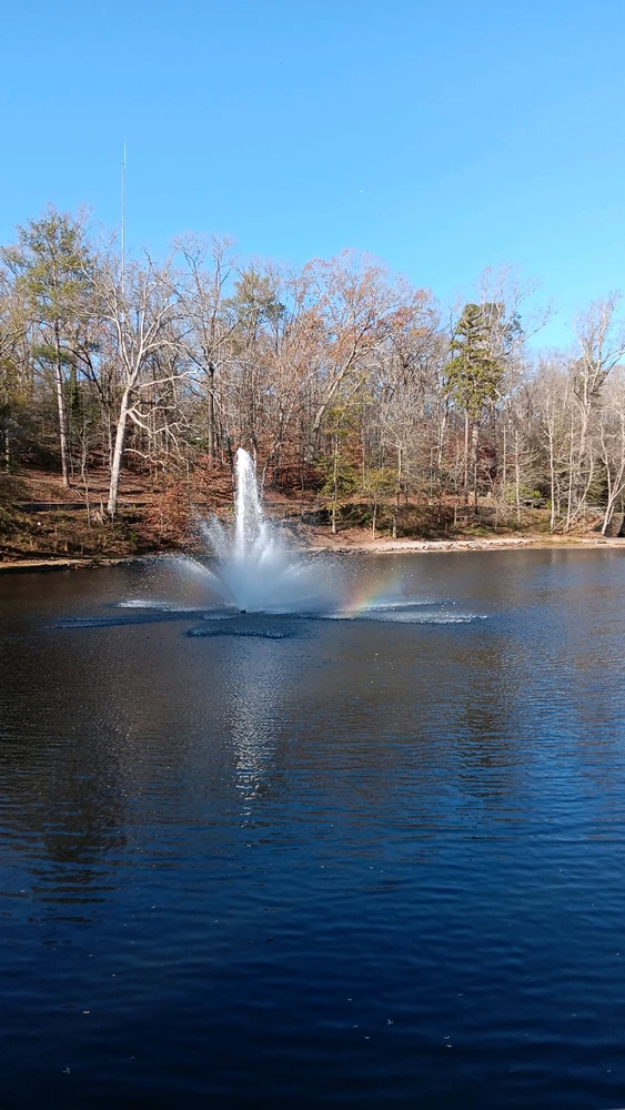 Image uploaded by Carrington