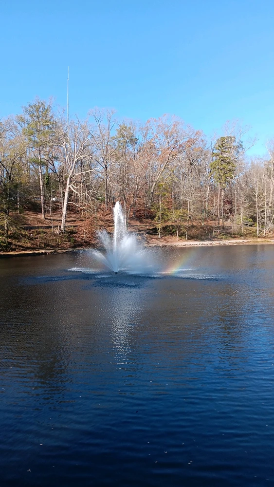 Image uploaded by Carrington