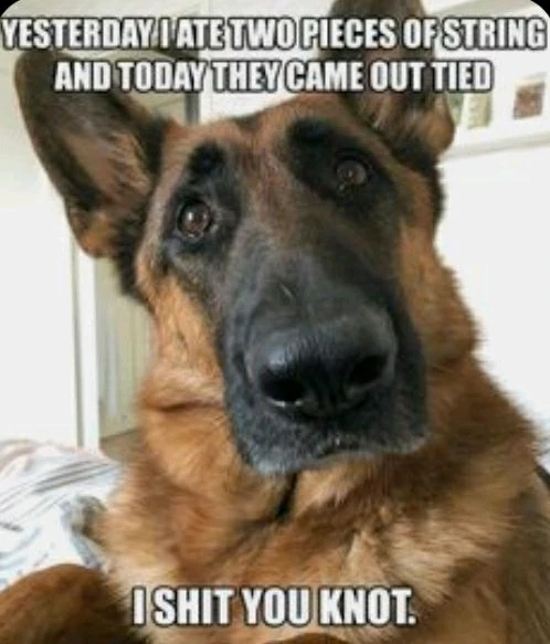 GIF uploaded by Rowe