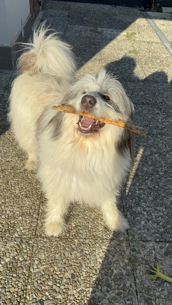 GIF caricata da EiPi