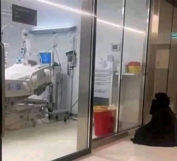 GIF uploaded by Fawad