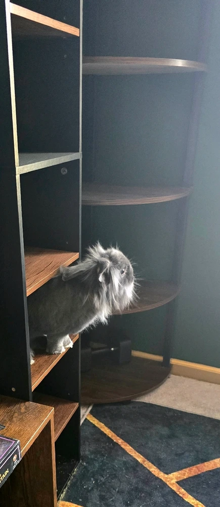 GIF uploaded by Jamie