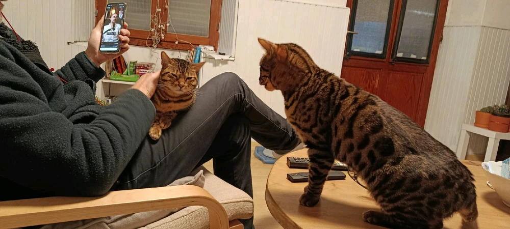 GIF uploaded by Jordan