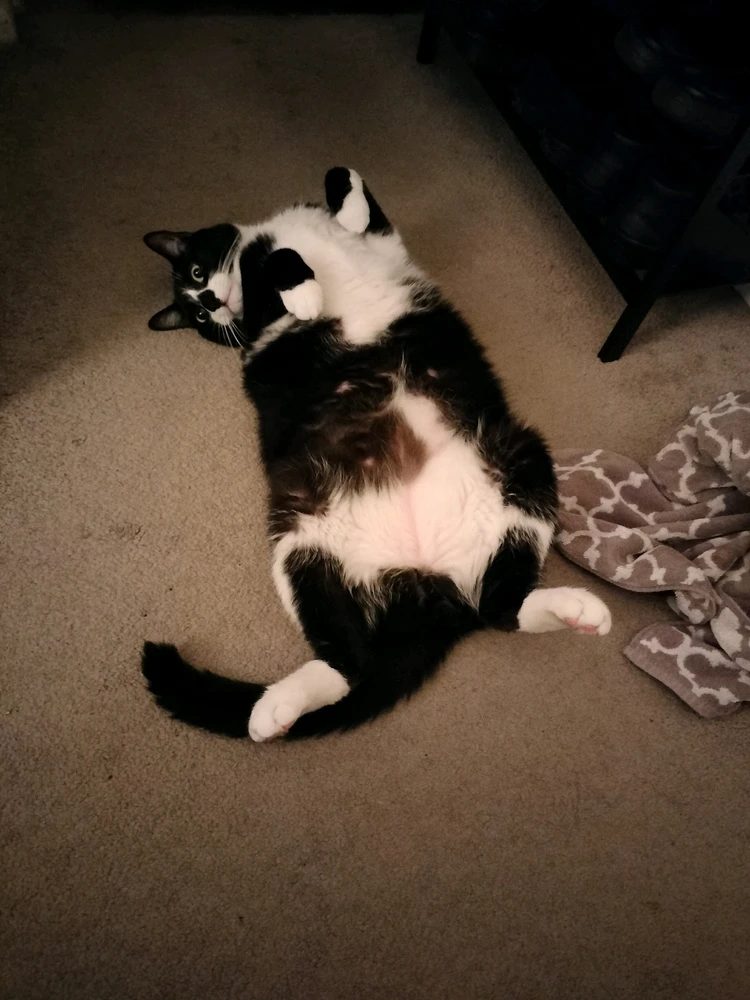 GIF uploaded by Anthony