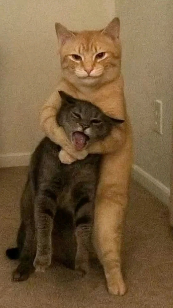 GIF uploaded by Cindy