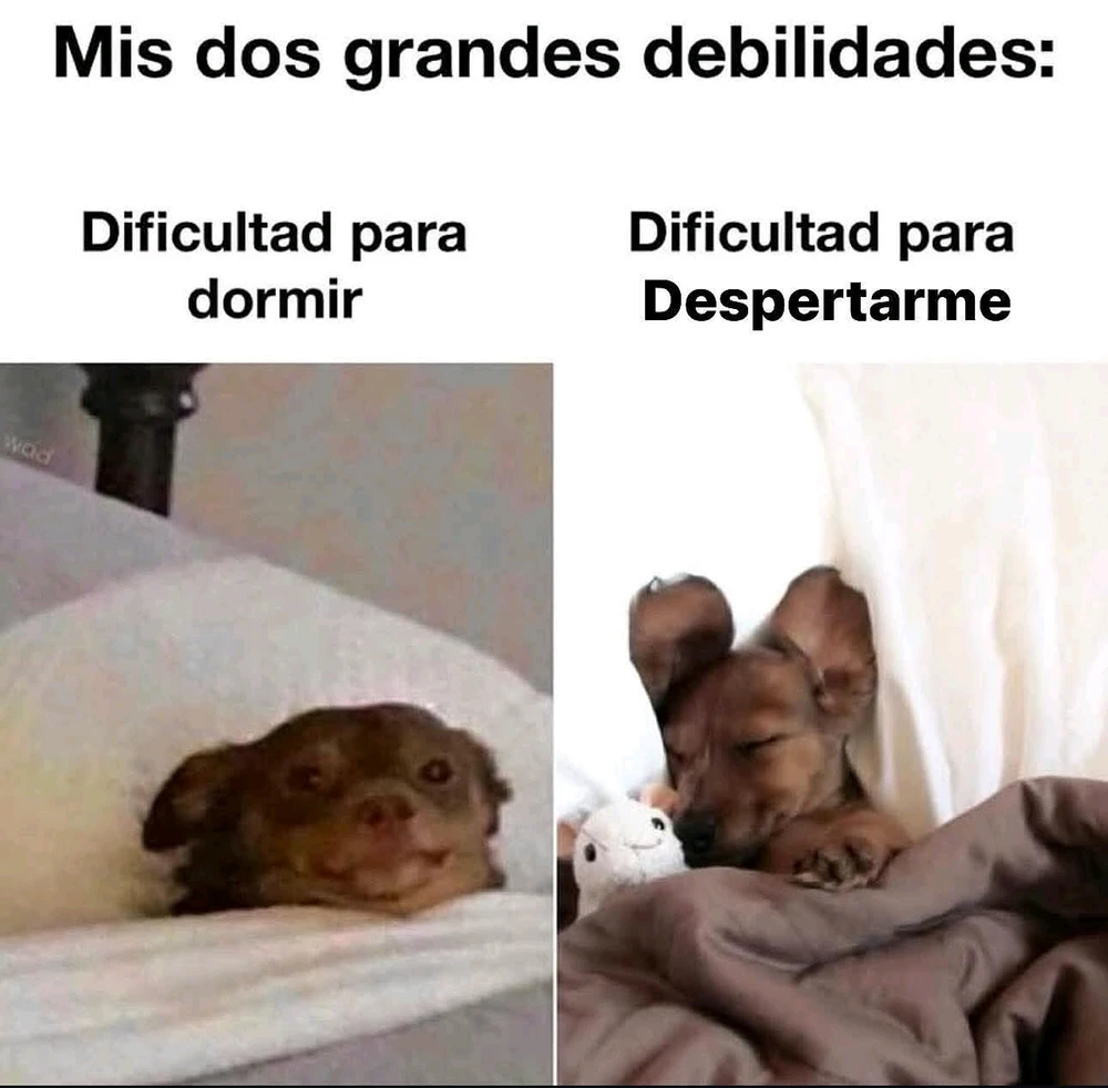 GIF subido por Eduardo