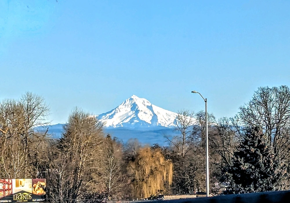 Image uploaded by Chris