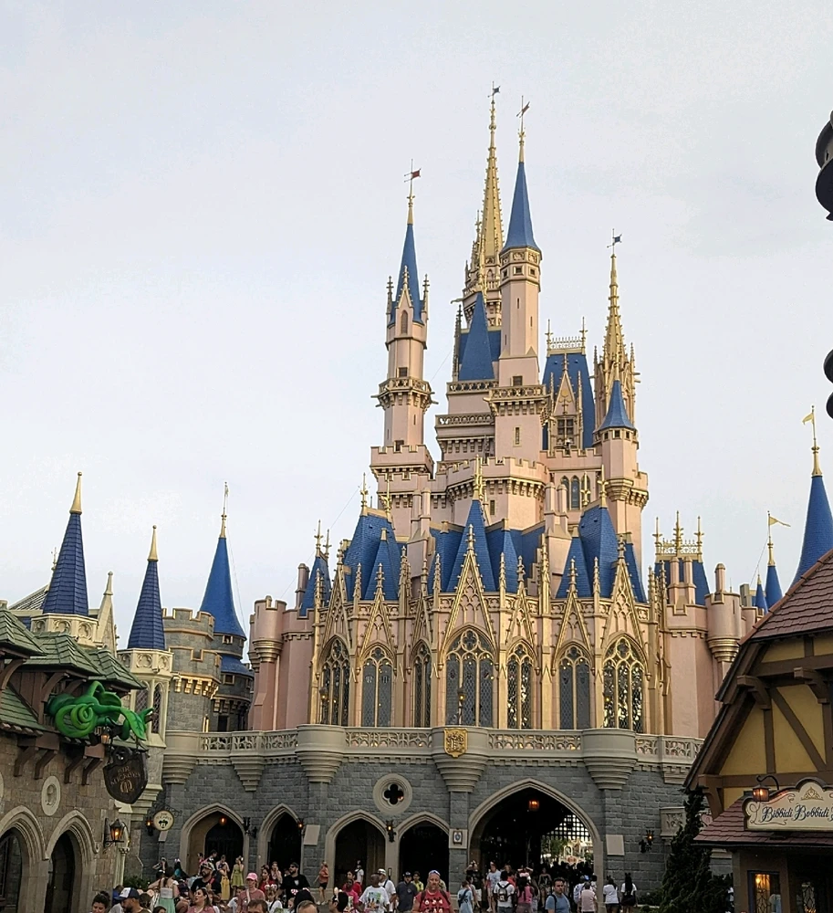 Image uploaded by Chris