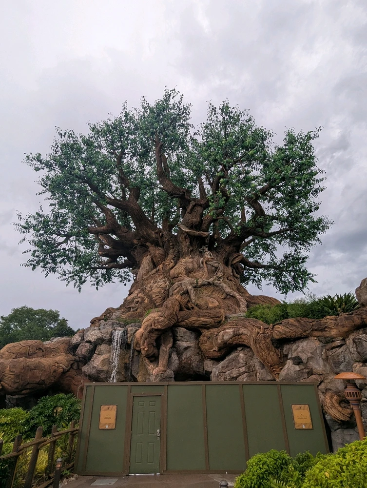 Image uploaded by Chris