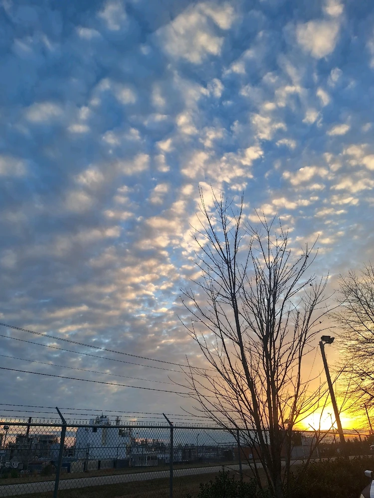 Image uploaded by Cory