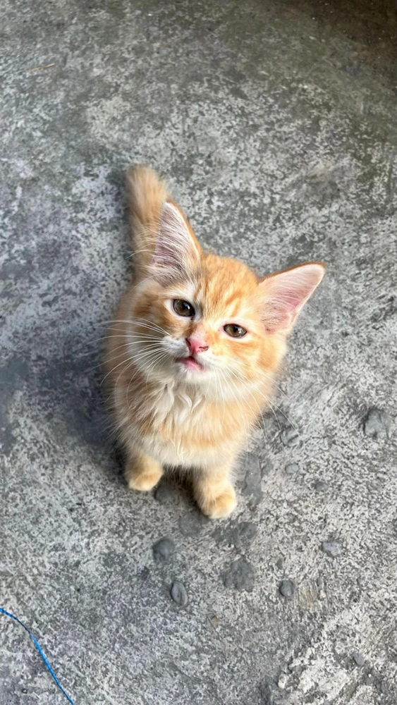 GIF uploaded by Caameyyy