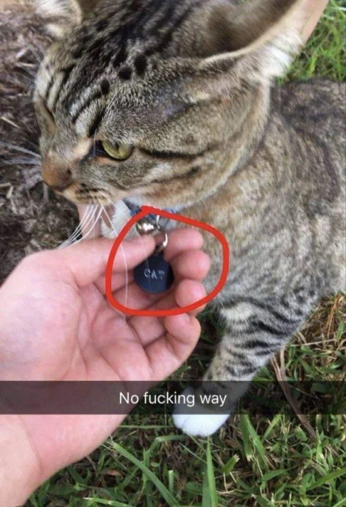 GIF uploaded by Richard