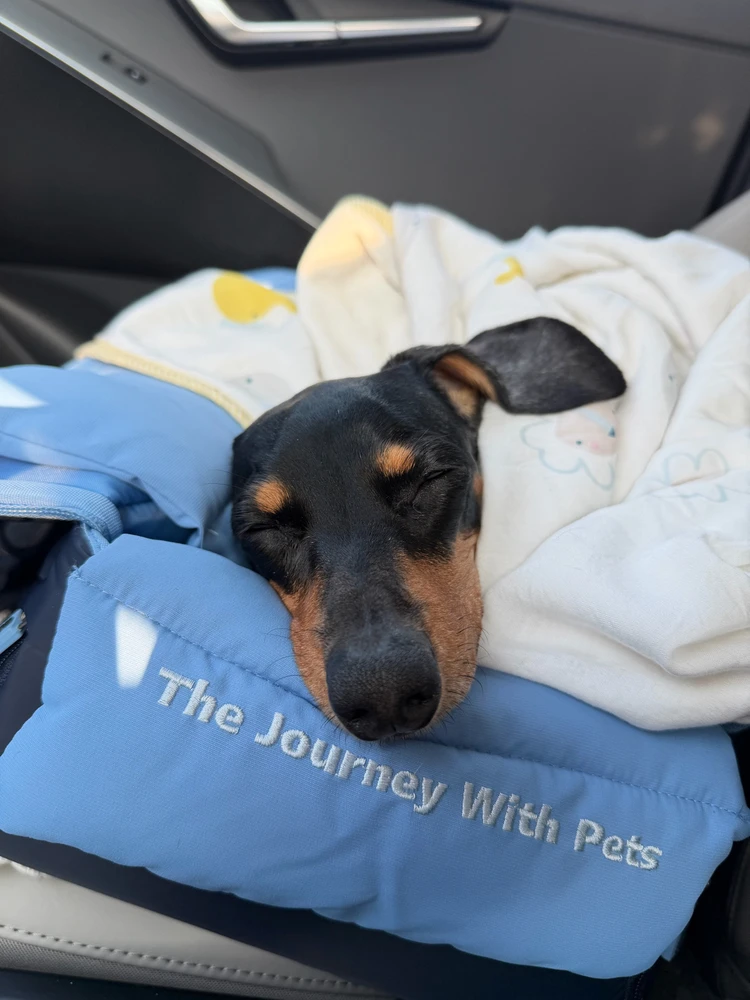 Minseok님이 올린 GIF