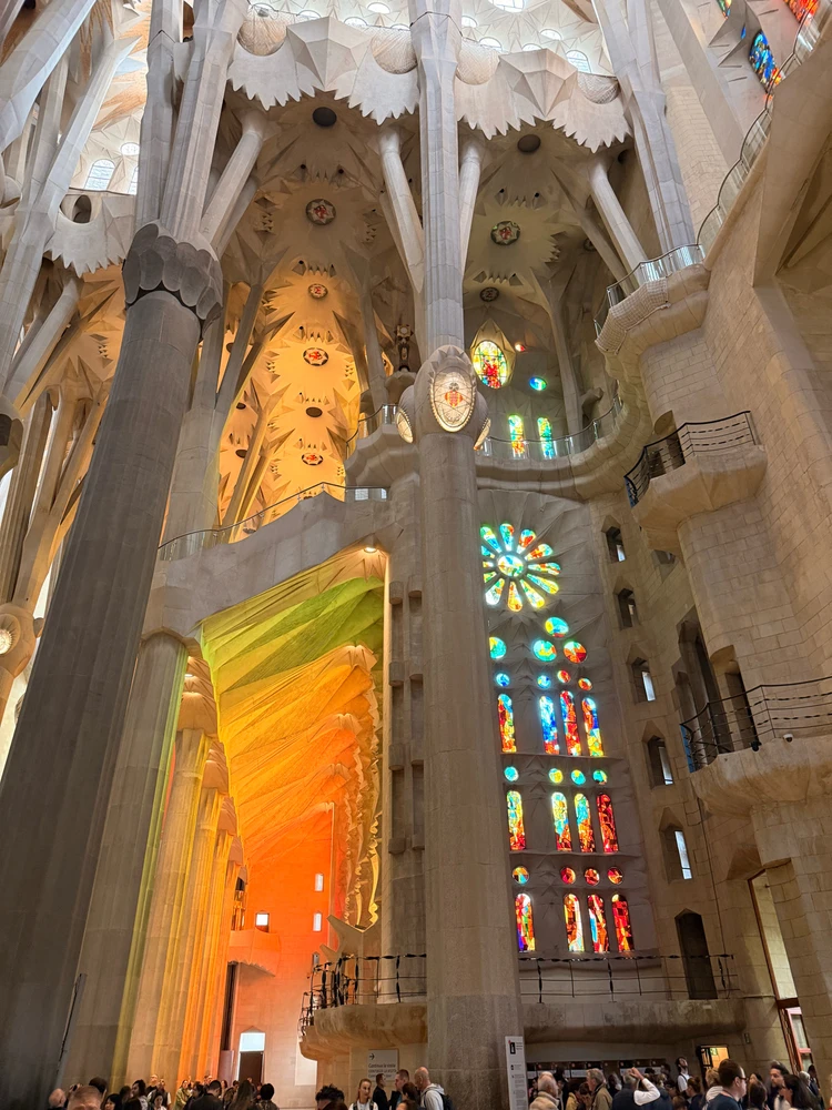 Image uploaded by Chris