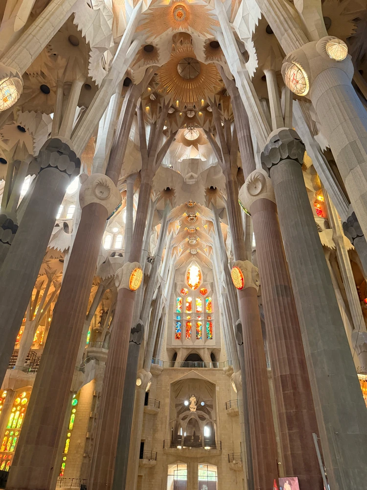 Image uploaded by Chris