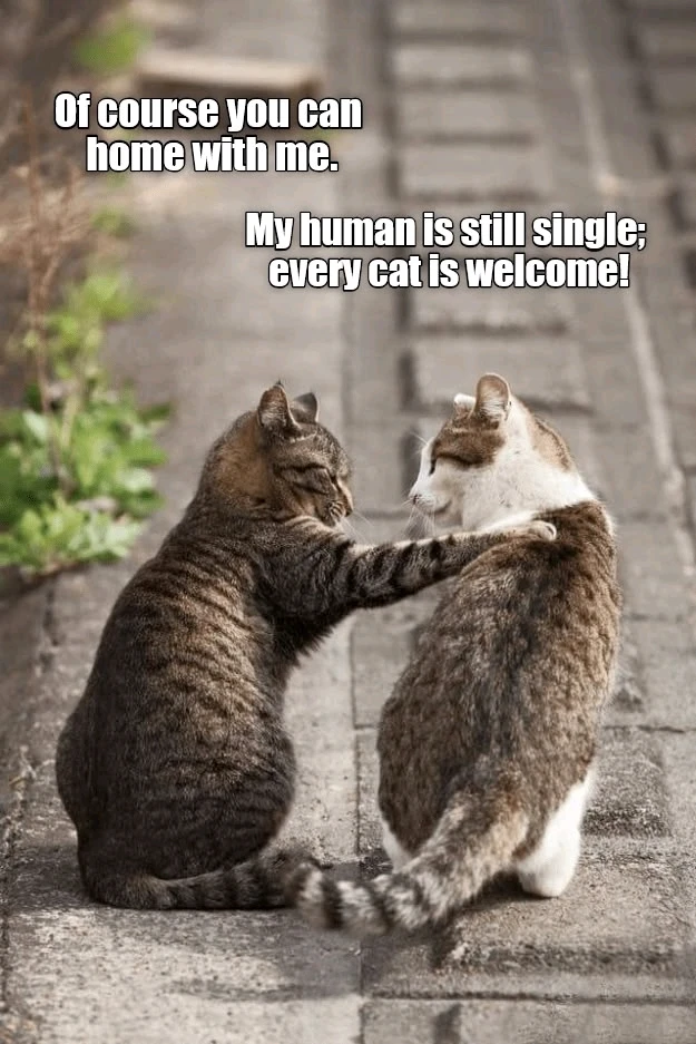 GIF uploaded by Andy