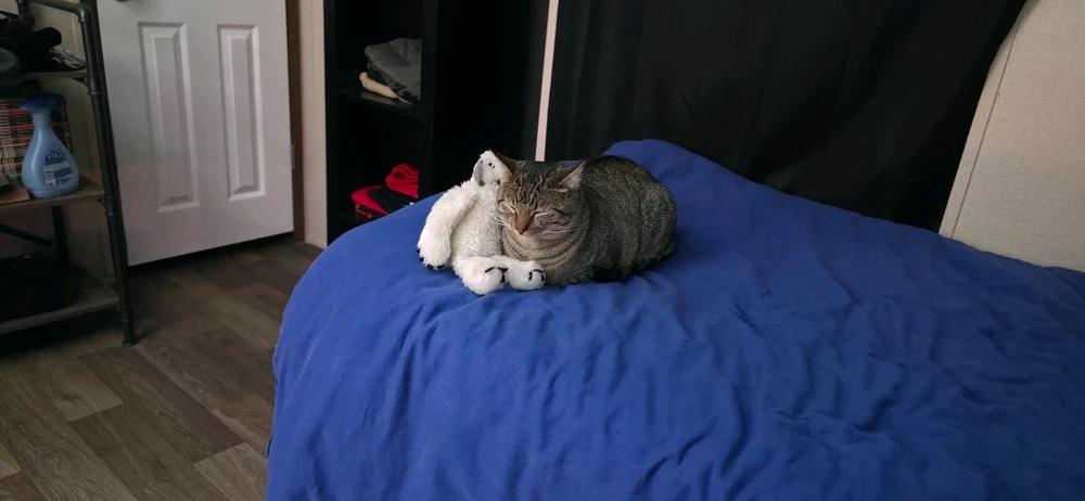 Image uploaded by Moondoggy