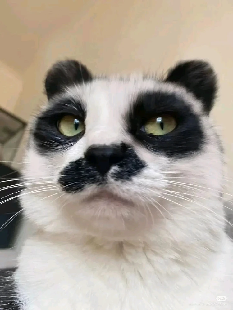 GIF uploaded by Shafiq