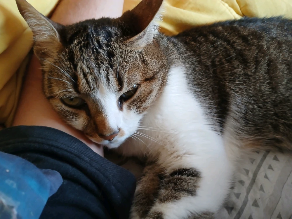 GIF uploaded by Marcus