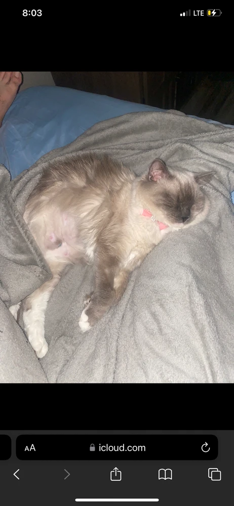 GIF uploaded by Chris