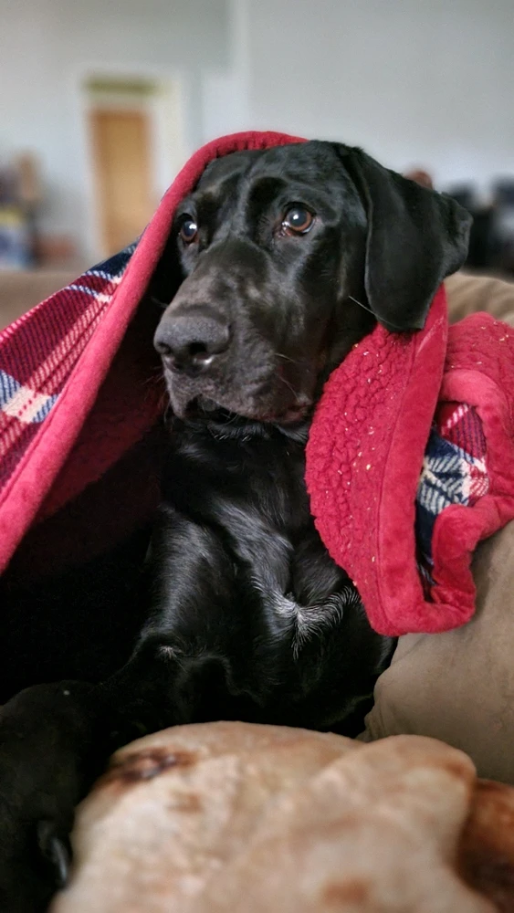 GIF uploaded by Kaitie