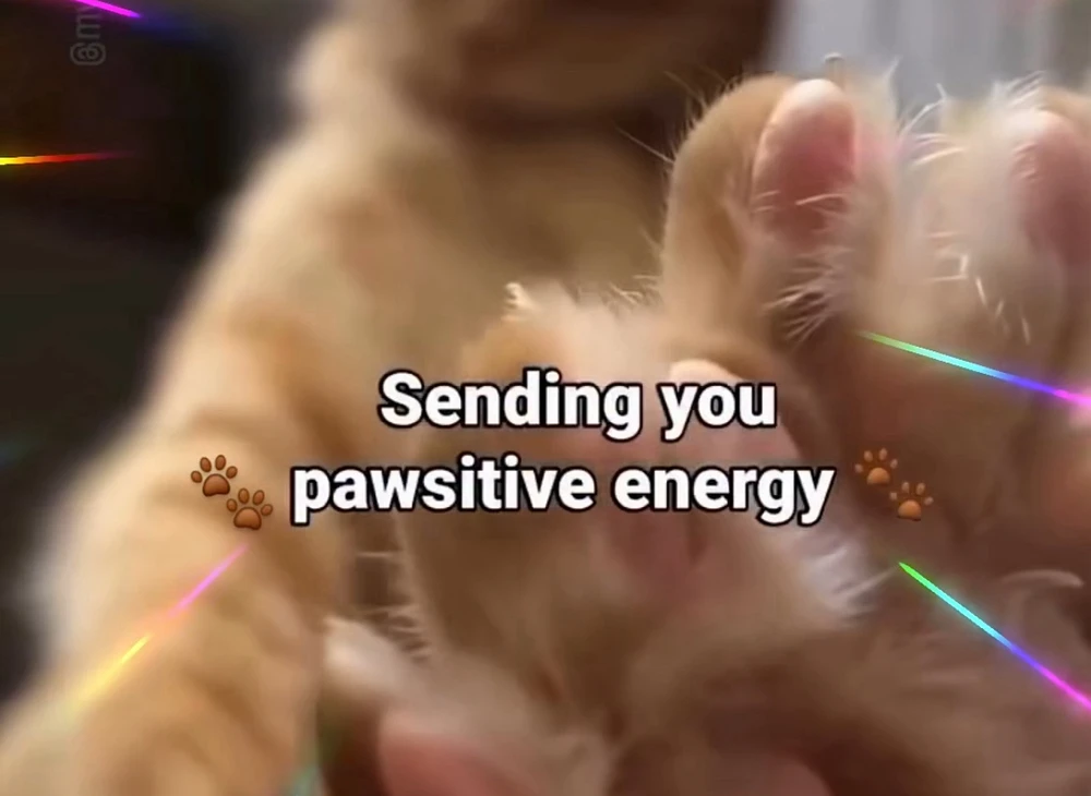 GIF uploaded by Postivebutterfly