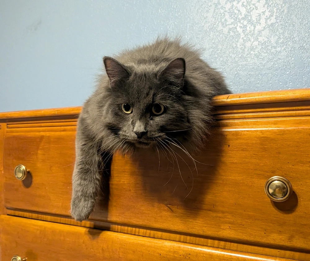 Image uploaded by Chris