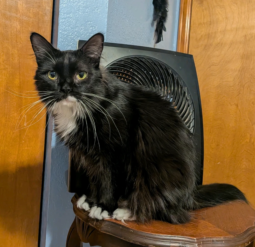 Image uploaded by Chris