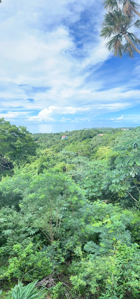 Image uploaded by Emma