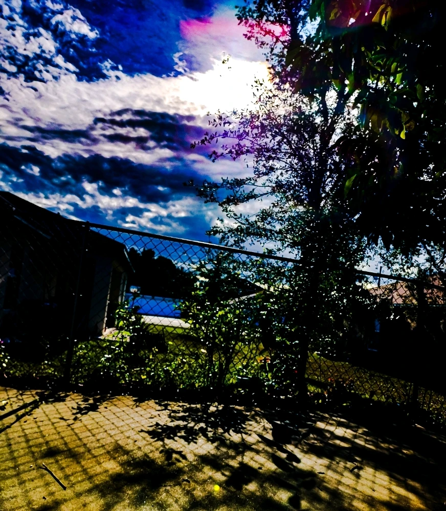 GIF uploaded by Mikey