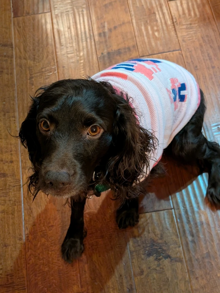 GIF uploaded by Garrick