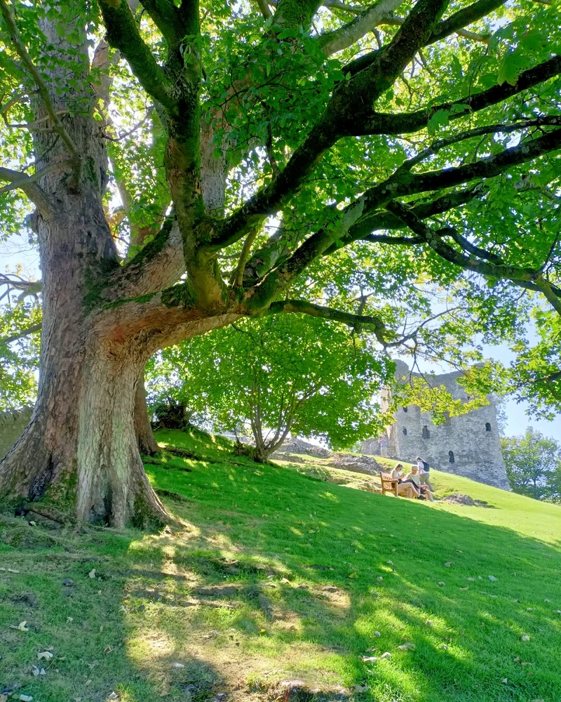 GIF uploaded by Chris