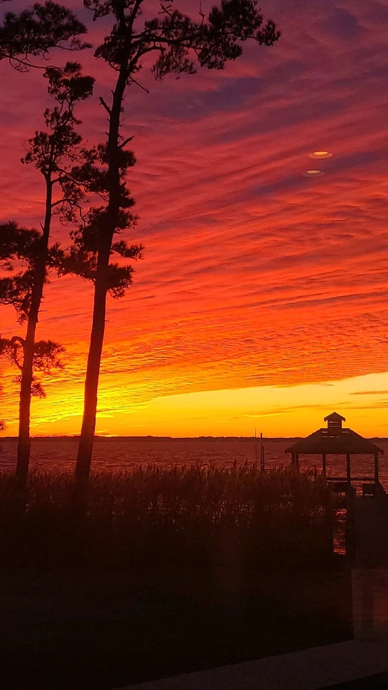 GIF uploaded by Zach