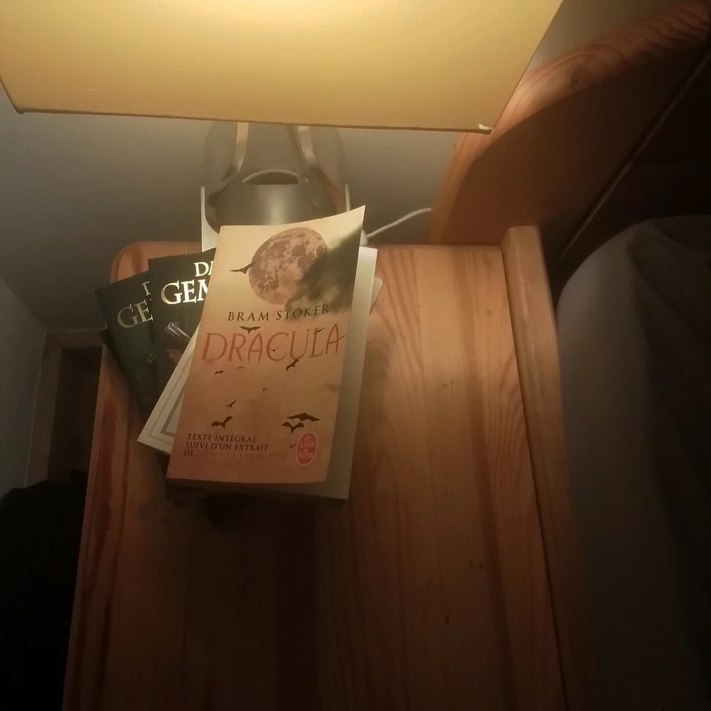 Image ajoutée par Dimitri