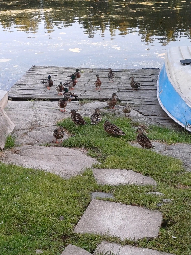 Image uploaded by Mason