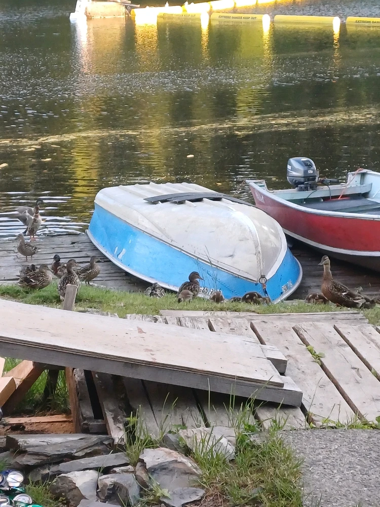 Image uploaded by Mason