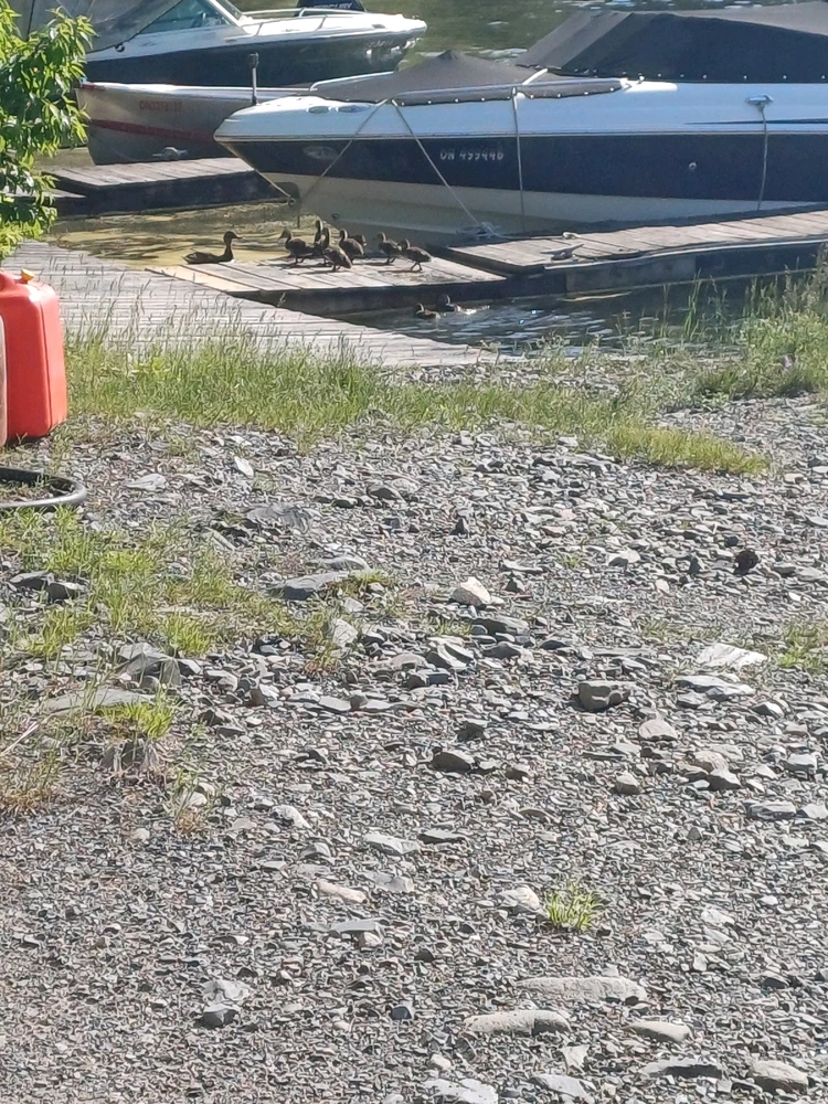 Image uploaded by Mason